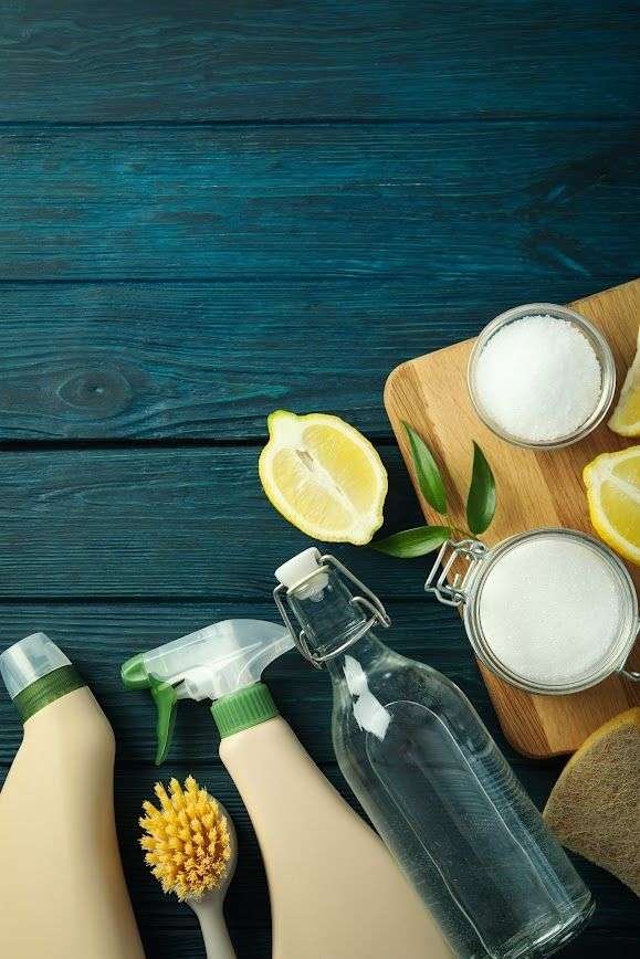 Senior-Friendly House Cleaning Products and Practices